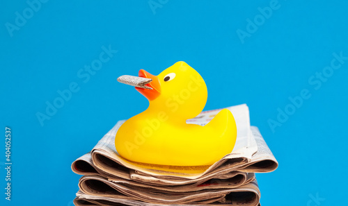 Fotografie Zeitungsente