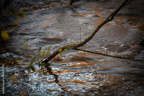 golden reflections of the sun on the river in the early evening