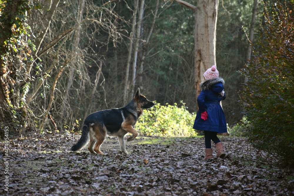 Five year old girl playing with German shepherd dog on path full of fallen leaves. Girl playing with German Shepherd dog.