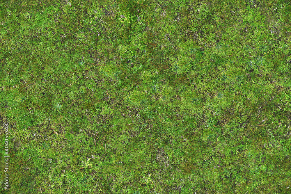 Seamless soil and green moss texture, vertical garden pattern, high  resolution repeatable leaf wallpaper, seams free, perfect for renders and  architectural works. Stock Photo | Adobe Stock