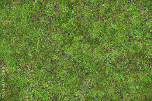 Canvas Print Seamless soil and green moss texture, vertical garden pattern, high resolution repeatable leaf wallpaper, seams free, perfect for renders and architectural works