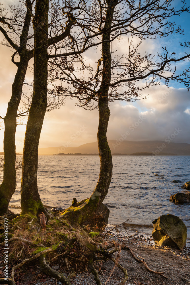 Stunning landscape image of Milarrochy Bay on Loch Lomond in Scottish Highlands with stunning Winter evening ligh Stunning landscape image of Milarrochy Bay on Loch Lomond in Scottish Highlands with stunning Winter evening ligh