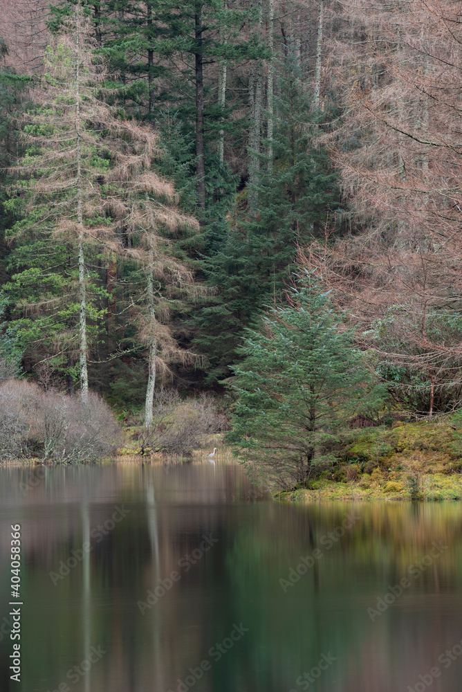 Stunning landscape image of Torren Lochan in Glencoe in Scottish Highlands on a Winter day Stunning landscape image of Torren Lochan in Glencoe in Scottish Highlands on a Winter day