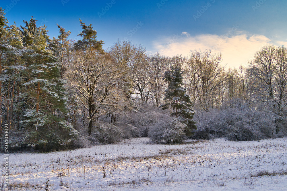 Im Wald - Sonnenstrahlen scheinen durch die Bäume im Abendrot - Energie auftanken in der Natur Landschaft Im Wald - Sonnenstrahlen scheinen durch die Bäume im Abendrot - Energie auftanken in der Natur Landschaft