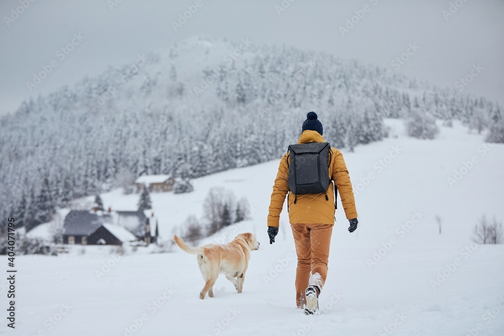 Rear view of young man with dog in winter. Pet owner with his labrador retriever walking against old village in beautiful nature. Jizera mountains, Czech Republic - obrazy, fototapety, plakaty 