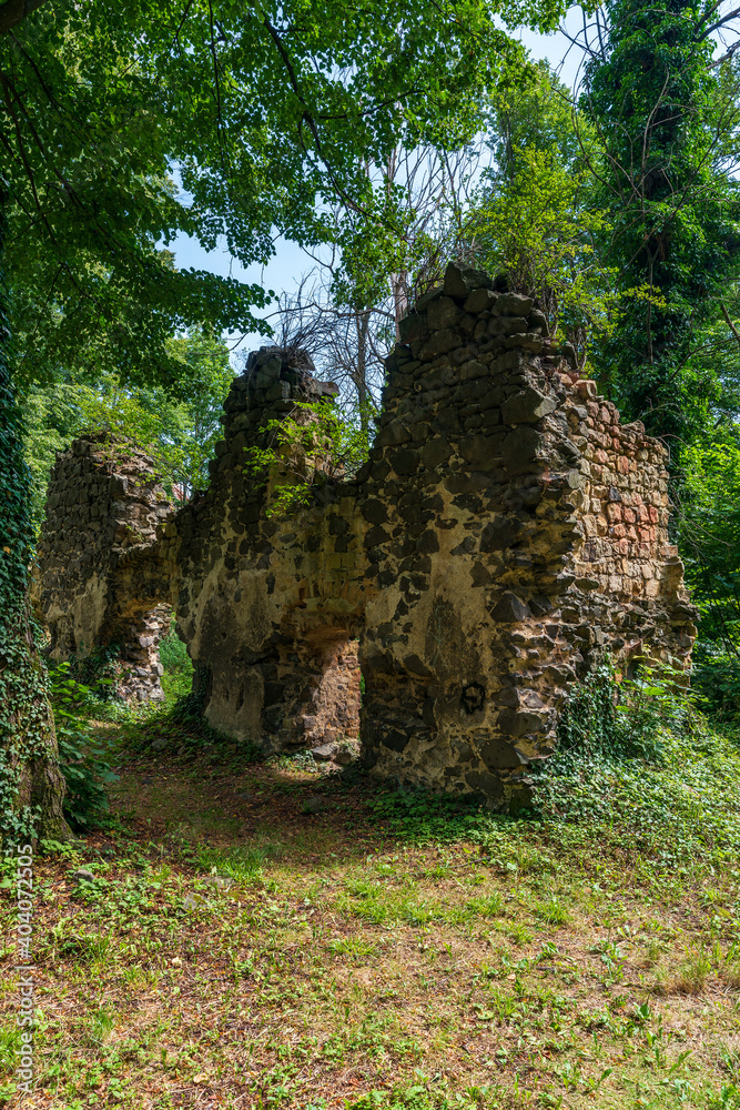 Old overgrown fortification wall in the castle park,
