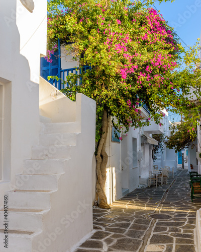 Pictursque alley in Naousa Paros greek island with a full blooming bougainvillea !! Whitewashed traditional houses with blue door and flowers all over !!!	