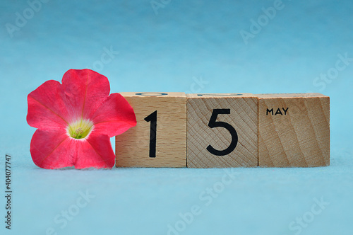 15 May on wooden blocks with a Petunia on a blue background