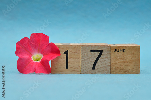 17 June on wooden blocks with a Petunia on a blue background