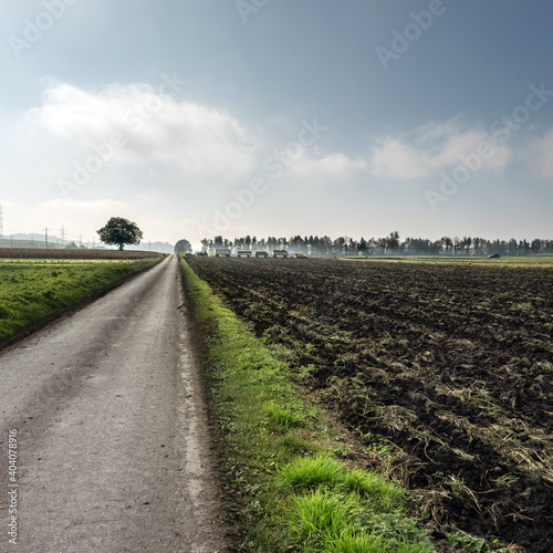 Strasse durch das berner Seeland. Umgepflügter Acker nach der Ernte von Zuckerrüben. Agrarland, Acker, Landwirtschaft, Landschaft mit Baum im Gegenlicht, Bern, Mittelland, Schweiz.