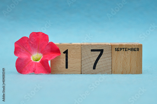 17 September on wooden blocks with a Petunia on a blue background