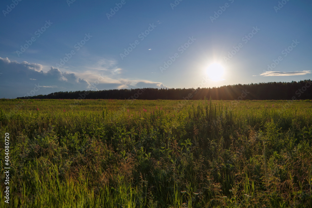 Summer landscape green meadow on a background of forest and cloudy sky. Summer landscape green meadow on a background of forest and cloudy sky.