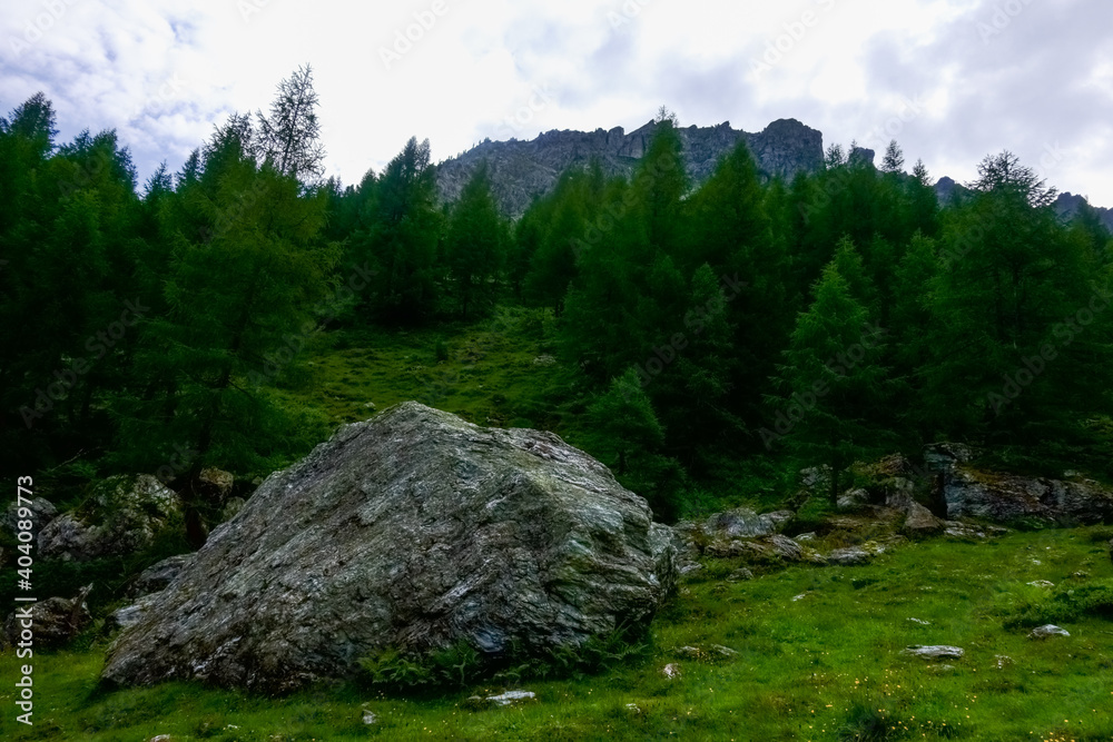 huge rock on the green meadow in the mountains