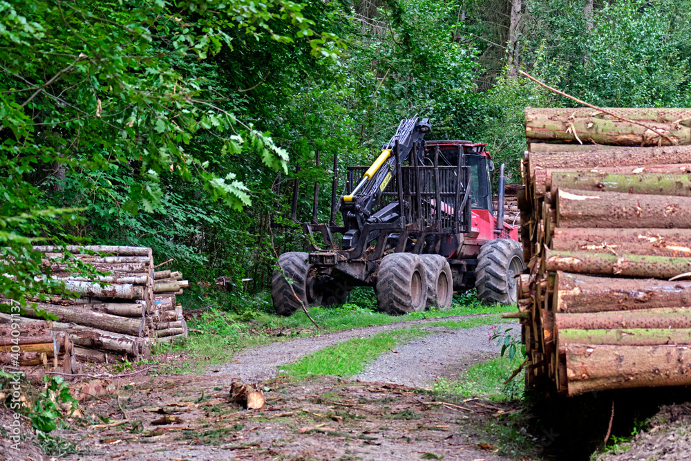 Wegen Dürreschäden und Schädlingsbefall gefällte Bäume liegen am Rande eines Waldweges zwischen den Ortsteilen Krumbach und Biensdorf der Gemeinde Lichtenau neben einer Holzfällermschine.