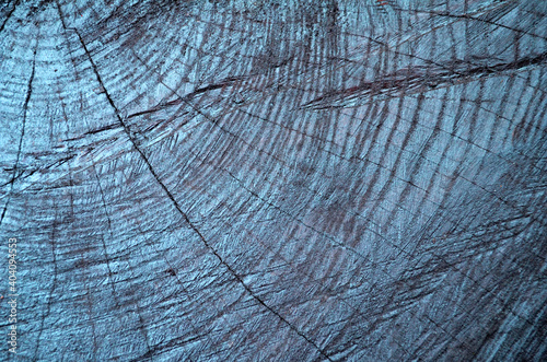 Wood cut surface of wood, dark natural wood background