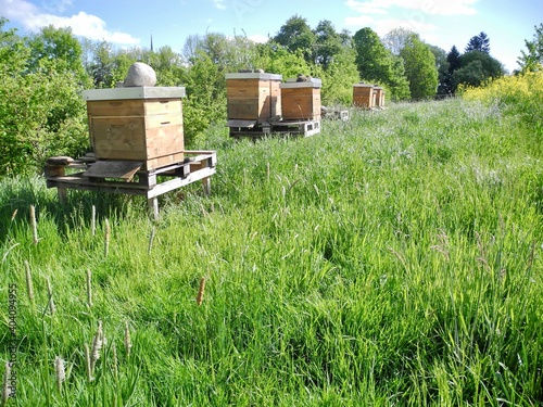 Bienenhaus in der Natur