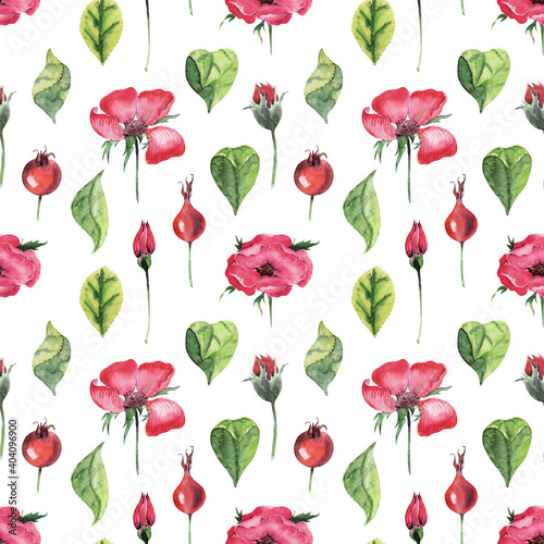 Watercolor seamless pattern with rosehip plant. Leaves, twigs, flowers and buds