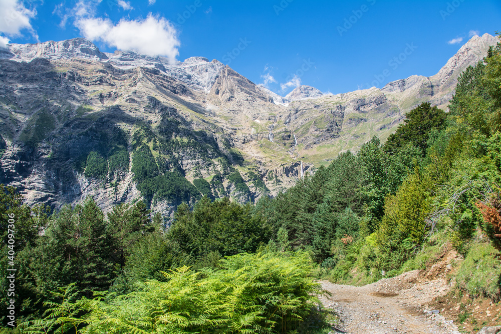 Paisaje alpino y boques de abetos y hayas en el valle de la Pineta. Pirineo aragonés. Bielsa Paisaje alpino y boques de abetos y hayas en el valle de la Pineta. Pirineo aragonés. Bielsa