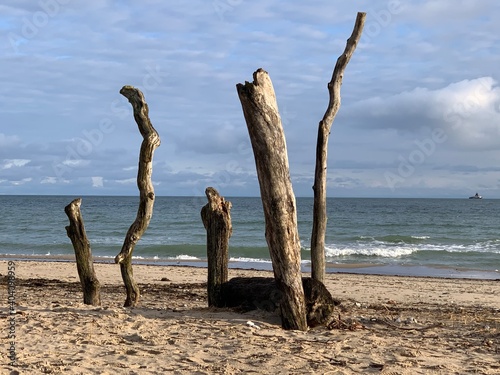 Strand im Winter