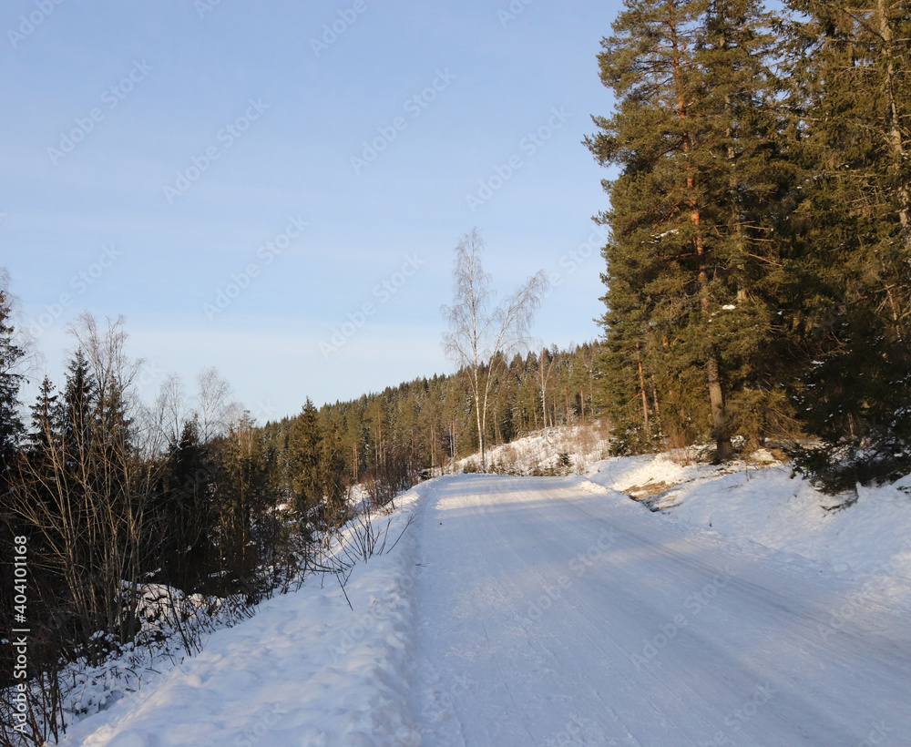 Norwegian winter landscape	