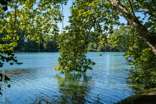 lake in the park