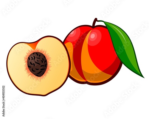 Ripe red peach isolated on white background. Drawn fruit with leaf. Whole and cut peaches. Vector illustration.