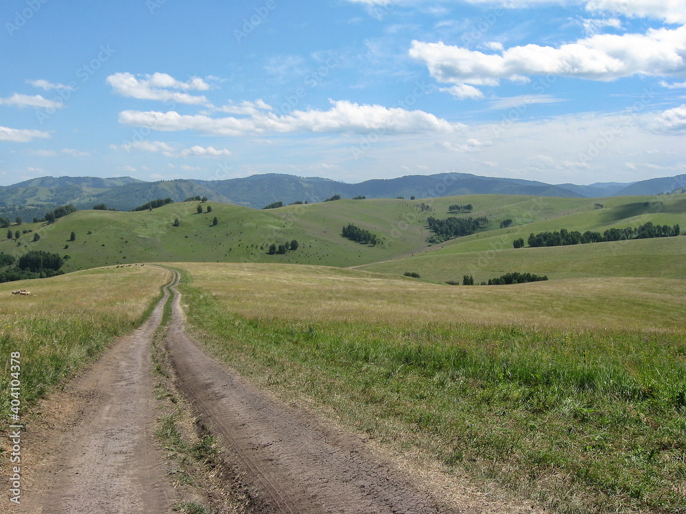 Dirt road stretching into the distance beyond the horizon. The road among the green hills. Summer.