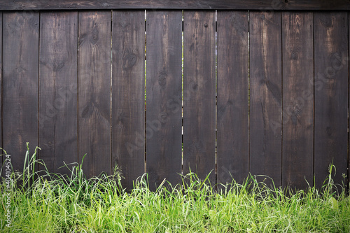 Background with a wooden fence and green plants