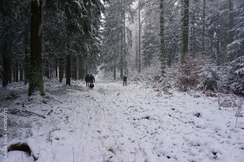 Winterspaziergang im verschneiten Solling in Niedersachsen