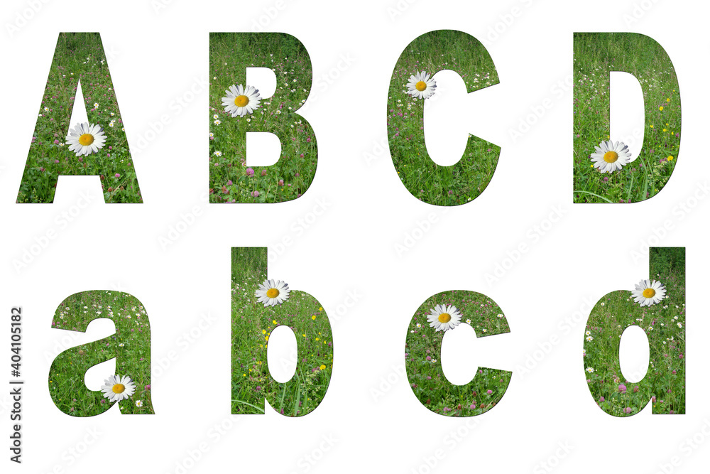 Floral collage. Letters a, b, c, d from grass and flowers
on white background Floral collage. Letters a, b, c, d from grass and flowers
on white background