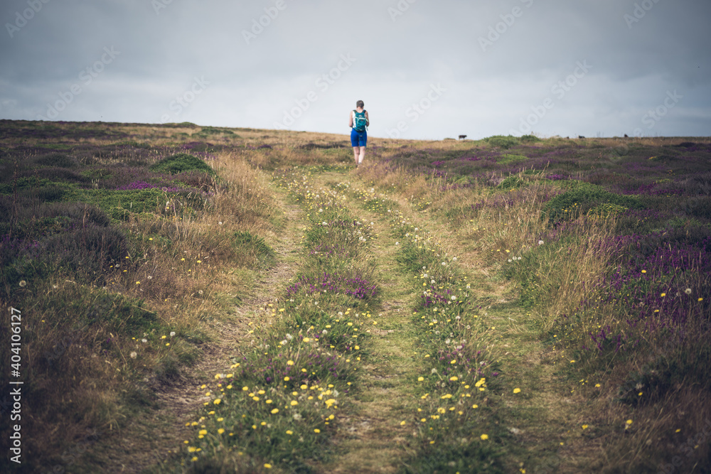 Lady walking in the heather moorland 
