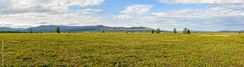 Panorama of the tundra in the natural Park on Taimyr.