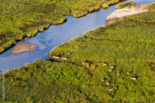 Aerial view to wild nature of Delta Okavango in Botswana.