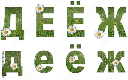 Collage: set of uppercase and lowercase letters of the Russian alphabet from grass and flowers on a white background. It's not a word, just letters d, e, je, g. There is no translation photo