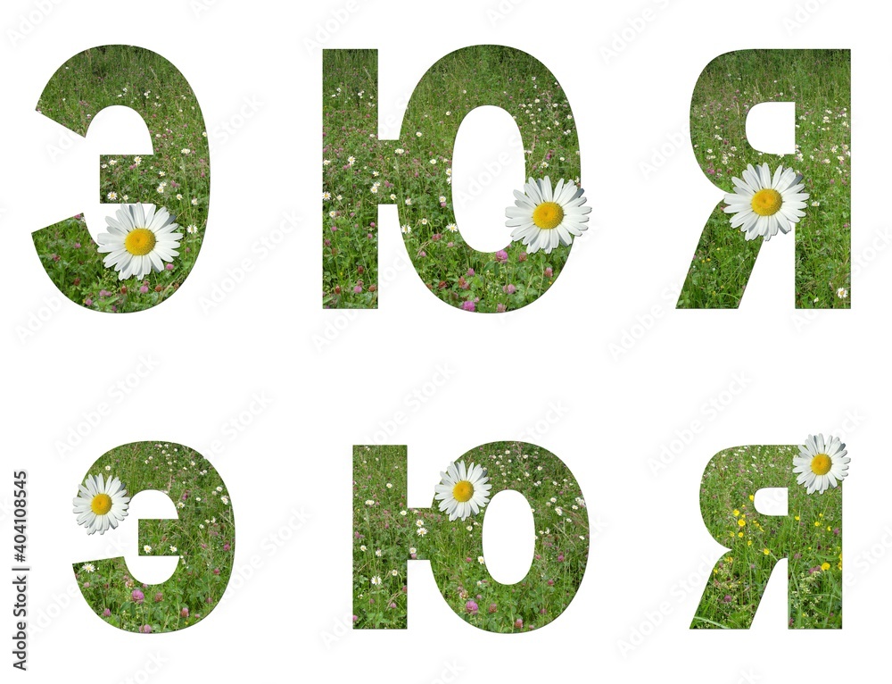 Collage: set of uppercase and lowercase letters of the Russian alphabet from grass and flowers on a white background. It's not a word, just letters e,ju, ja. There is no translation Collage: set of uppercase and lowercase letters of the Russian alphabet from grass and flowers on a white background. It's not a word, just letters e,ju, ja. There is no translation