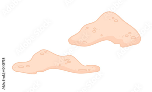Sand Vector flat Illustration. Cute cartoon drawing