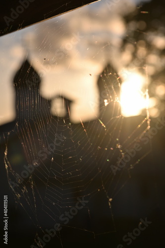 Spider web with a silhouette of a church against sunset