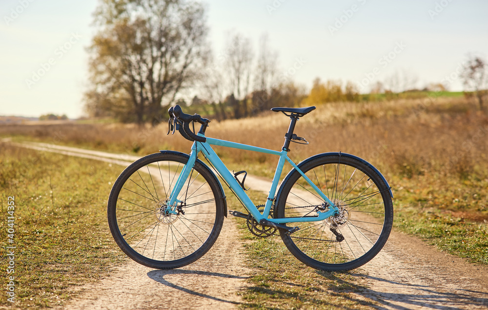 Fototapeta premium A sports bicycle on a field road in a sunny clear weather.