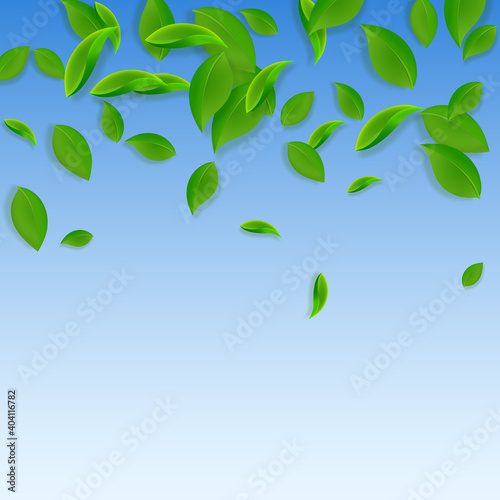 Falling green leaves. Fresh tea chaotic leaves flying. Spring foliage dancing on blue sky background. Adorable summer overlay template. Quaint spring sale vector illustration.