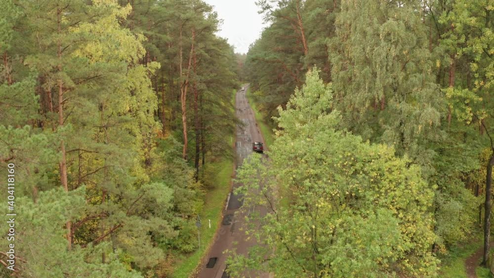 Aerial view, cars driving through pine forest on two lane road. Tilt up, zoom in. Aerial view, cars driving through pine forest on two lane road. Tilt up, zoom in.