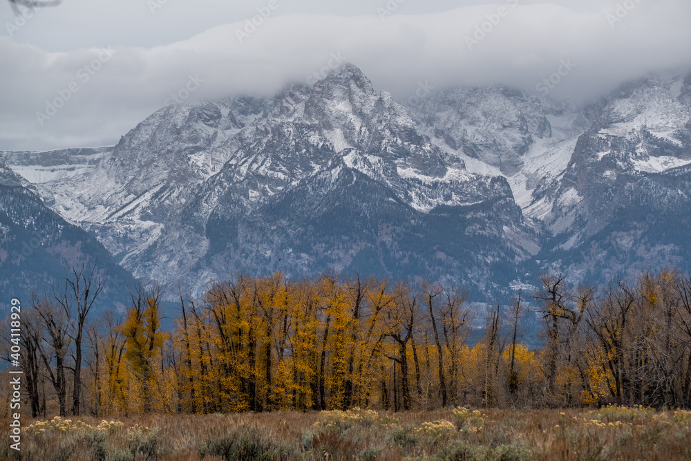 Autumn In The Mountains