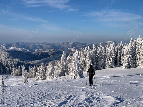 Winter im Schwarzwald am Herzogenhorn photo