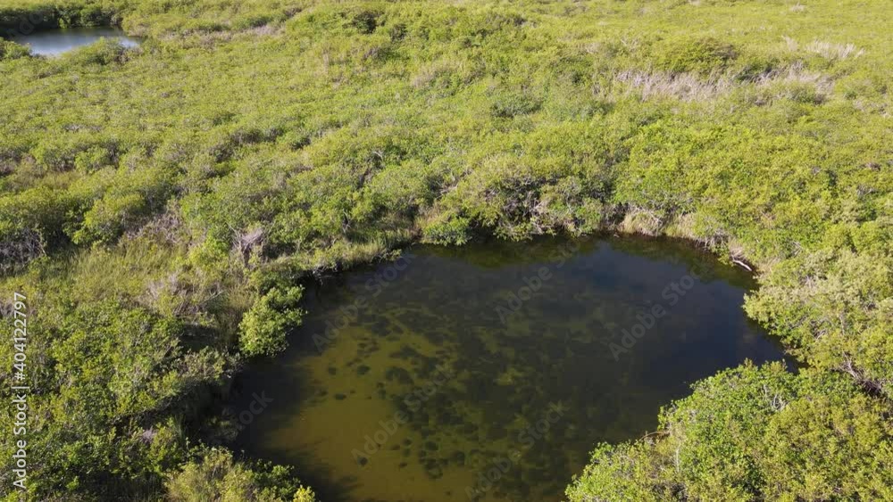 Aerial view of cenotes fresh water natural open caves in Mexican jungle at daylight Aerial view of cenotes fresh water natural open caves in Mexican jungle at daylight