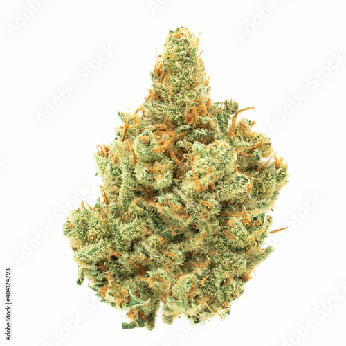 Cannabis Marijuana on white background