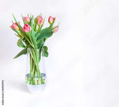 Spring composition with fresh pink tulips in a glass vase isolated bouquet. 