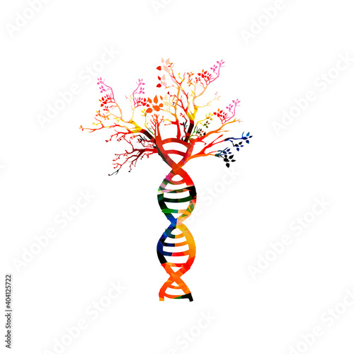 Human DNA double helix with tree colorful concept vector illustration. DNA spiral isolated design for genetics, biotechnology, science, research and lab