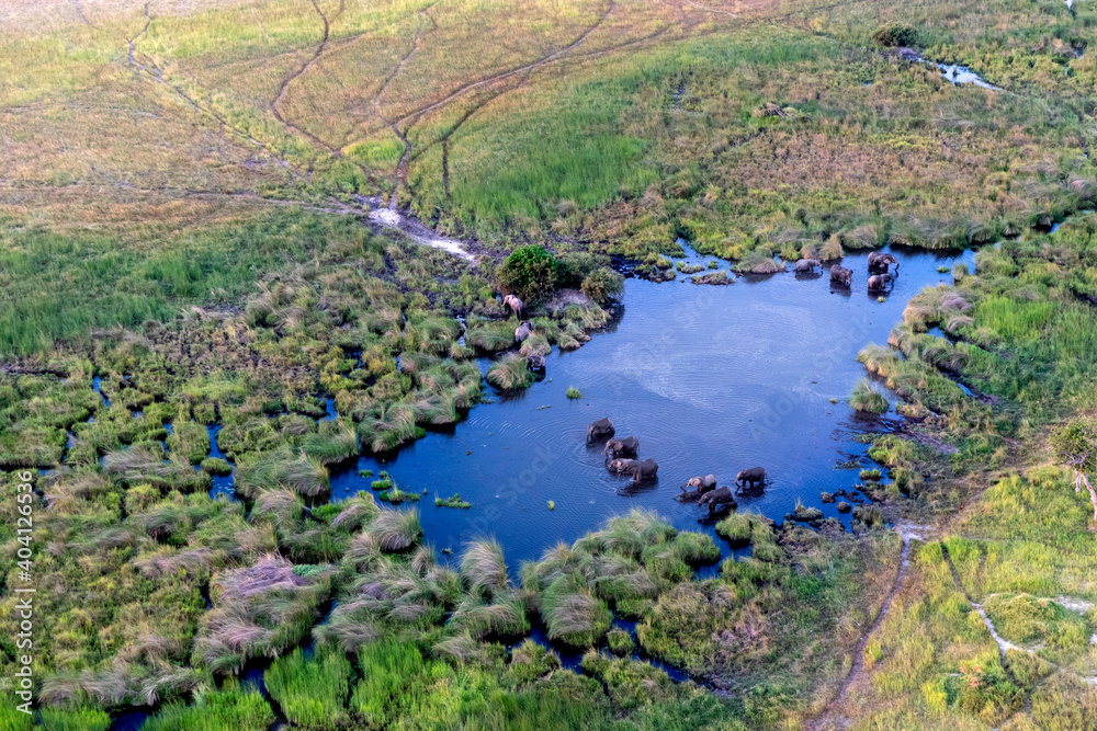 Aerial view to wild nature of Delta Okavango in Botswana. Aerial view to wild nature of Delta Okavango in Botswana.