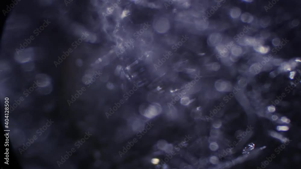 Big Snowflake Crystal at Microscope. Smooth Focus and defocus 4k video. Awesome micro world under microscope. High detailed structure of beautiful snowflake on black background