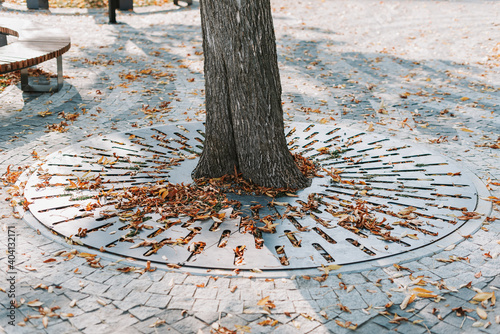 Autumn yellow leaves near a tree trunk in a city park
