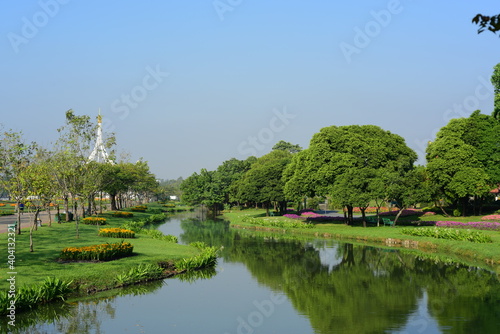 Colorful flowers in nature.flowers in the garden.Flower Blooming in the Suan Luang Rama IX 